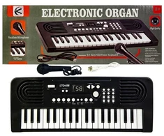 Dideli organkai, klaviatūra su mikrofonu