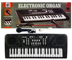 Dideli organkai, pianinas, klaviatūra su mikrofonu