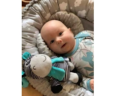 Lavinamasis pliušinis žaislas su segtuku Baby Mix zebras