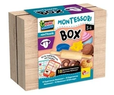 Lisciani Montessori medinė bičių dėžutė su garsais