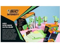 Rinkinys popierinių kaktusų su flomasteriais ir žymekliais BIC