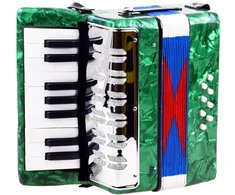 Jokomisiada Vaikiškas akordeonas Harmonia IN0148 žalias