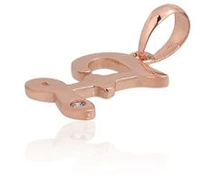 Diamond Sky Jewelry Auksinis raidės pakabukas su cirkoniais „Z IV“