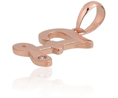 Diamond Sky Jewelry Auksinis raidės pakabukas su cirkoniais „Z IV“