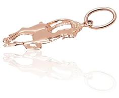 Diamond Sky Jewelry Auksinis zodiako ženklo pakabukas „Ožiaragis V“