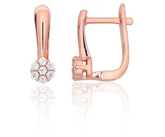 Diamond Sky Jewelry Sidabriniai auskarai su cirkoniais „Akmeninė Gėlė VII“
