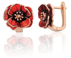 Diamond Sky Jewelry Sidabriniai auskarai su emaliu „Tango“