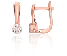 Diamond Sky Jewelry Sidabriniai auskarai su cirkoniais „Akmeninė Gėlė VII“
