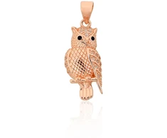 Diamond Sky Jewelry Sidabrinis pakabukas su cirkoniais „Owl II“