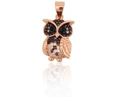Diamond Sky Jewelry Sidabrinis pakabukas su cirkoniais „Owlet“