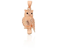 Diamond Sky Jewelry Sidabrinis pakabukas su cirkoniais „Owl II“