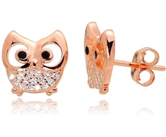 Diamond Sky Jewelry Vaikiški sidabriniai auskarai-vinukai su cirkoniais „Owl“
