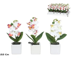 Dirbtinės orchidėjos vazone x5 – 22 cm, 6x6x22 cm, LITO