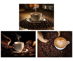 Drobė, Mio Macchiato, 3 dizainai, 1,50 × 40,00 × 30,00 cm, Decorlife