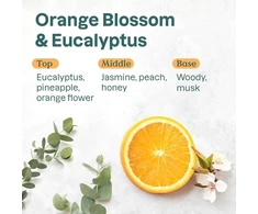 Attitude Natural deodorant Super leaves Oranžinis blossom &amp; Eucalyptus 75 g