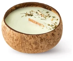 Tropicandle Tropikalia Candle in Coconut - lemongrass &amp; ginger