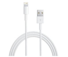 Apple iš Lightning į USB laidas (1m) MD818ZM/A Baltas
