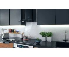 Berdsen BT-216 juodas 60 cm virtuvinis gartraukis