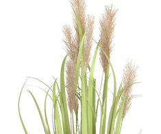 Dirbtinis augalas IN GARDEN H70cm, tamsiai ruda žolė su vazonu