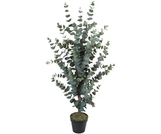 Dirbtinis medis WIND EUCALYPTUS H120cm