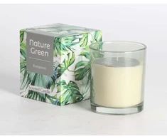 Home4You Žvakė NATURE Žalias H9.5cm, Evergreen