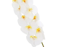 Orchidėja SODYBAI H92cm, baltas falenopsis