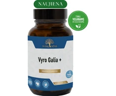 Sveikadienis Vyro Galia + - prostatos komfortui, vyriškam gyvybingumui ir energijai