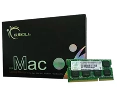 Atmiņa portatīvajam datoram G.Skill SODIMM, DDR3, 8 GB, 1600 MHz, CL11 (FA-1600C11S-8GSQ)