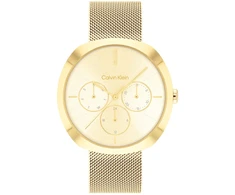 Laikrodis CALVIN KLEIN moterims 25200339 (38,5CM)
