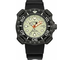 Laikrodis CITIZEN Vyrams BN0227-25X (47MM)