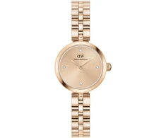 Laikrodis DANIEL WELLINGTON MOTERIMS DW00100720 (22MM)