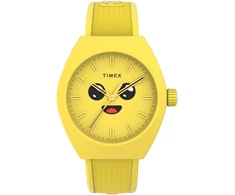 Laikrodis TIMEX Vyrams TW2W96700 (40MM)