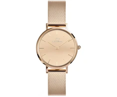 Moteriškas laikrodis DANIEL WELLINGTON DW00100795 (28MM)