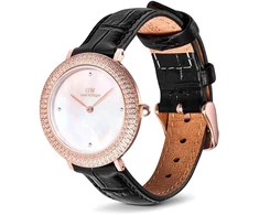 Moteriškas laikrodis DANIEL WELLINGTON DW00100827 (32MM)