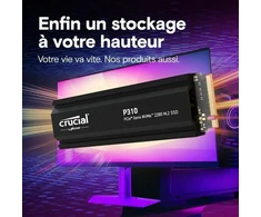 SSD diskas Crucial P310 2TB M.2 2280 PCI-E x4 Gen4 NVMe (CT2000P310SSD5)