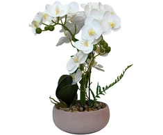 Dirbtinė orchidėja vazone