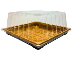 Plastikinis padėklas su dangčiu 1vnt užkandžiams 18 x 18 x 9,5 cm