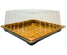 Plastikinis padėklas su dangteliu 1vnt užkandžiams 22 x 22 x 10 cm