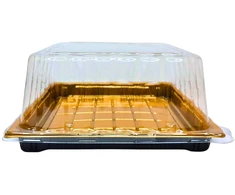 Plastikinis padėklas su dangteliu 1vnt užkandžiams 22 x 22 x 10 cm