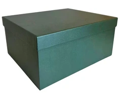 Popierinė dovanų dėžutė žalia 17,5 x 13 x 8 cm, 1 vnt
