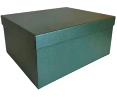 Popierinė dovanų dėžutė žalia 23,5 x 19 x 11 cm, 1 vnt