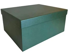 Popierinė dovanų dėžutė žalia 25,5 x 21 x 12 cm, 1 vnt