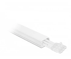 Tvarkyklės Delock DELOCK kabelių kanalas su dangteliu lipnus 35x20mm L 1m baltas