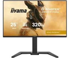 Monitorius „iiyama G-Master GB2591HSU-B1 Gold Phoenix“