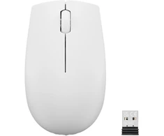 Lenovo | Compact Pelė | 300 | Wireless | Cloud Pilkas