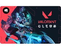 Usorteret Riot Valorant Guthabenkarte 100€