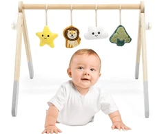 Viga Toys Arka kūdikiams VIGA PolarB, medinė