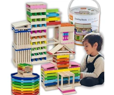 Viga Toys Konstruktorius Viga, 250 detalių