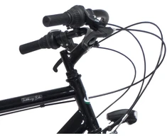 Bottari Bicycle Vyriškas dviratis 28" "FIRENZE", juodas