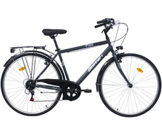 Dviratis turistinis Bottari Pisa, 28 ", 20" (50 cm) rėmas